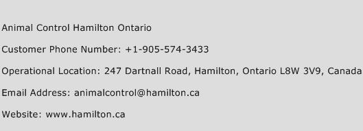 Animal Control Hamilton Ontario Phone Number Customer Service