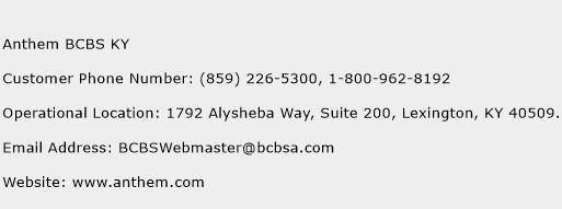 Anthem BCBS KY Phone Number Customer Service